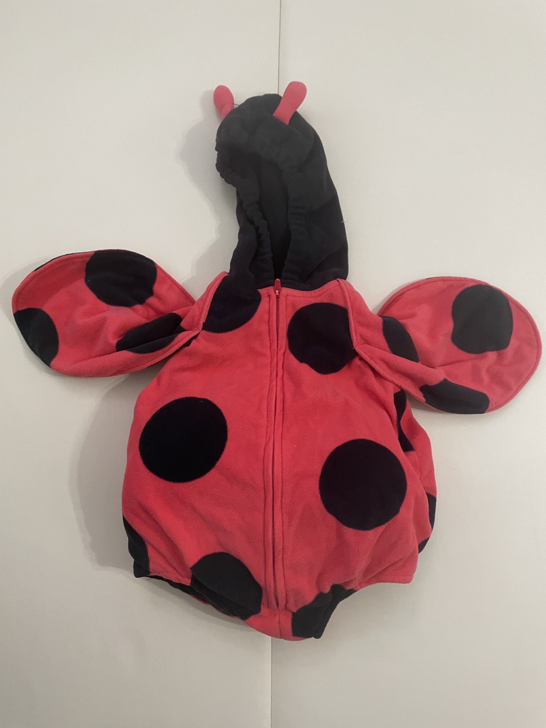 Ladybug costume