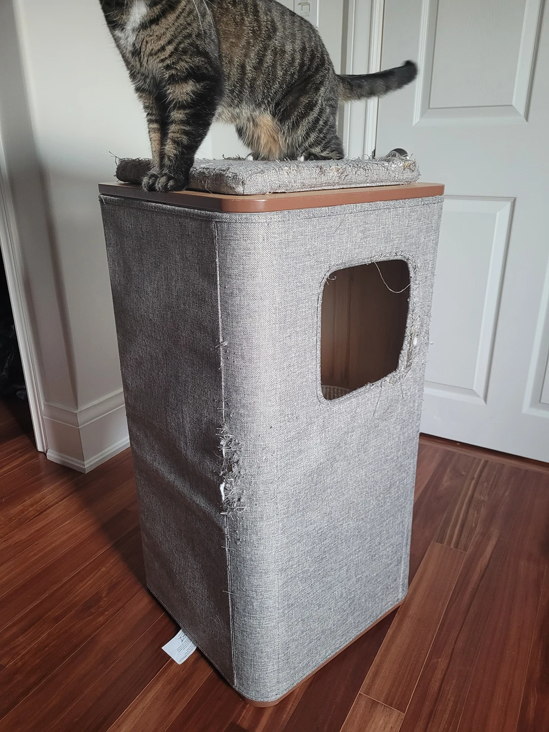 Free Cat Tower thumbnail