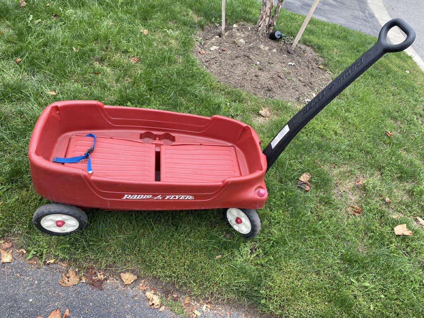 Wagon