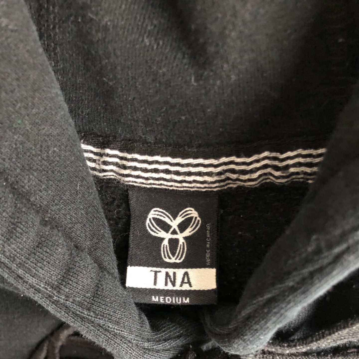 Aritzia TNA Hoodie with Insignia, Black image indicator(2)