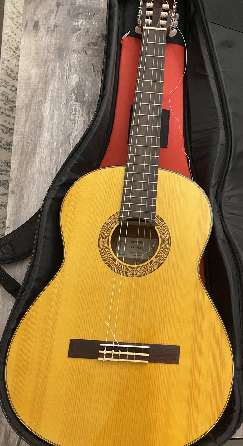 Guitar