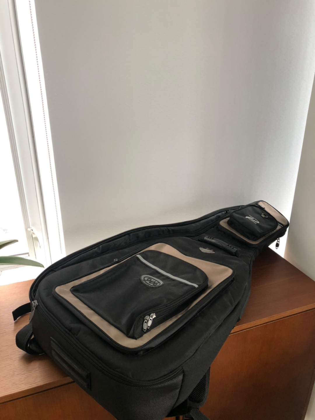 Guitar + bag image indicator(2)