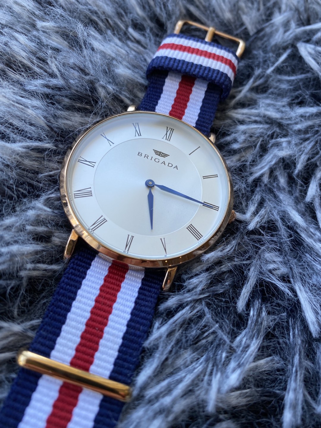 Mens Watch Quartz Nylon Band Rose Gold Case Dia. 44mm