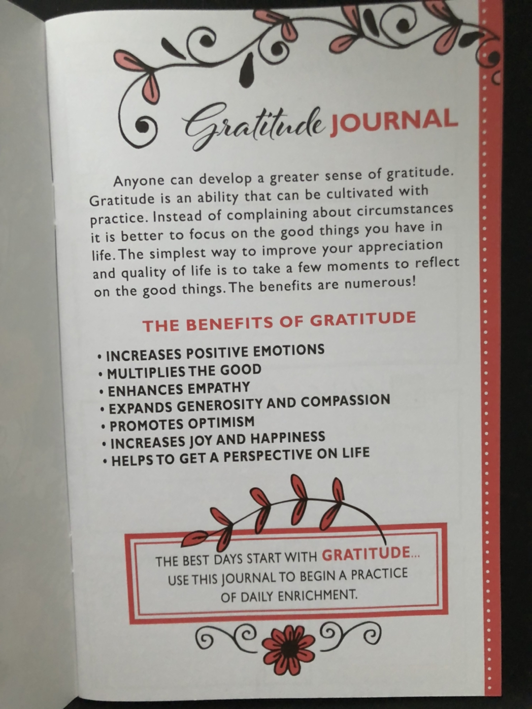 #freecycle Gratitude journal - photo 2