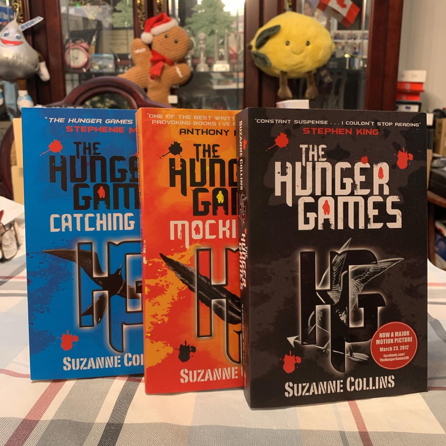 Hunger Games Series thumbnail