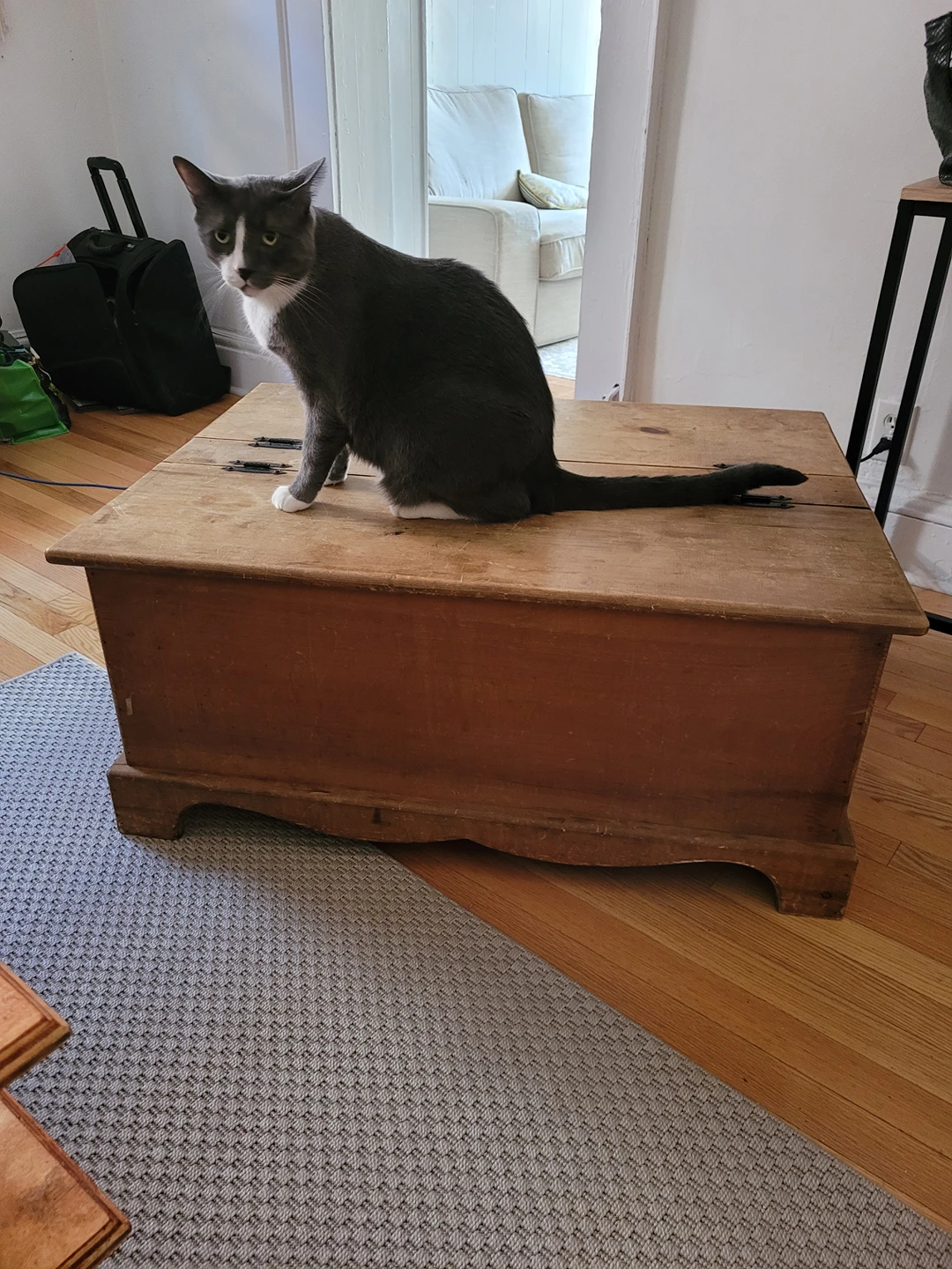 coffee table with storage - photo 3
