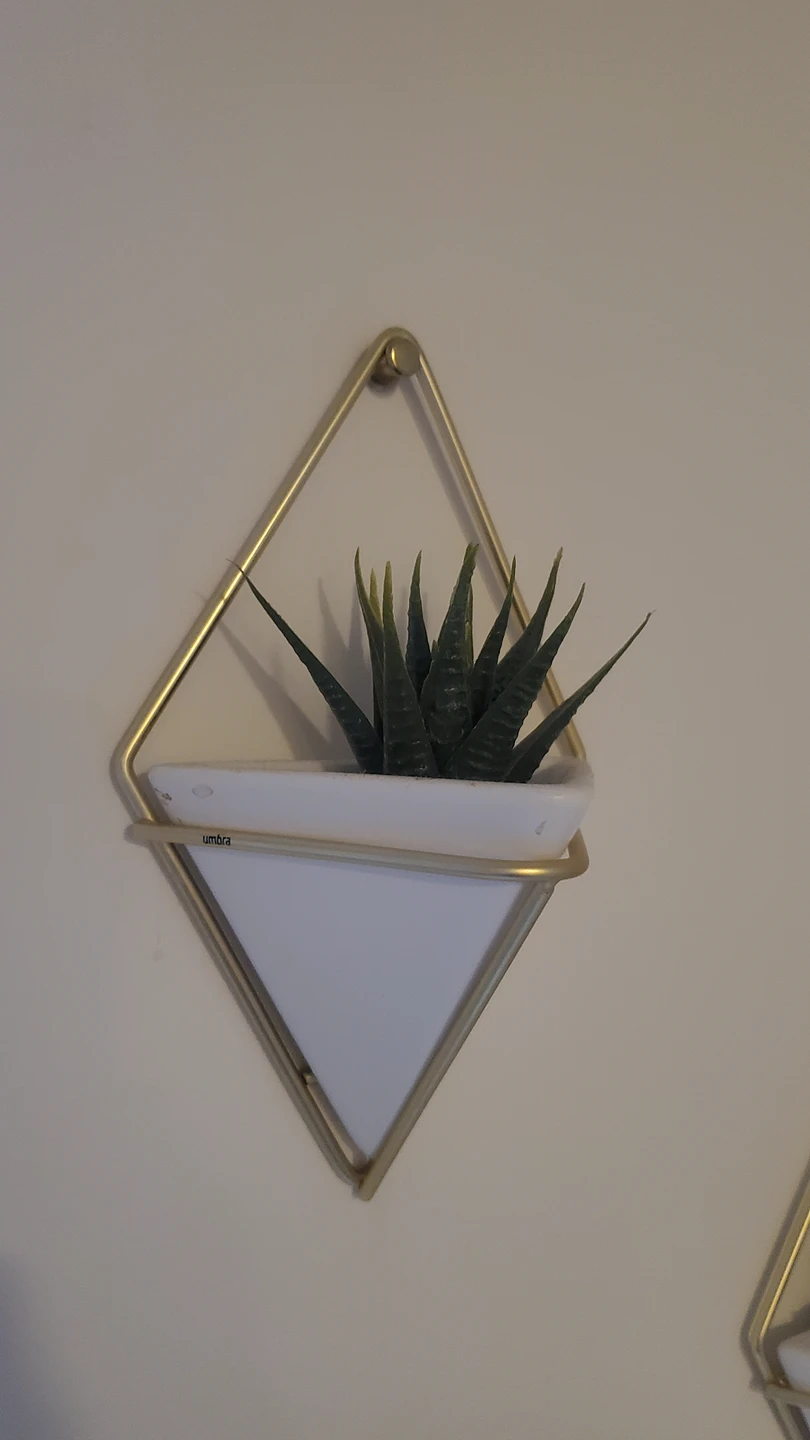 Wall Plant Holder w/ Fake Plants - photo 3