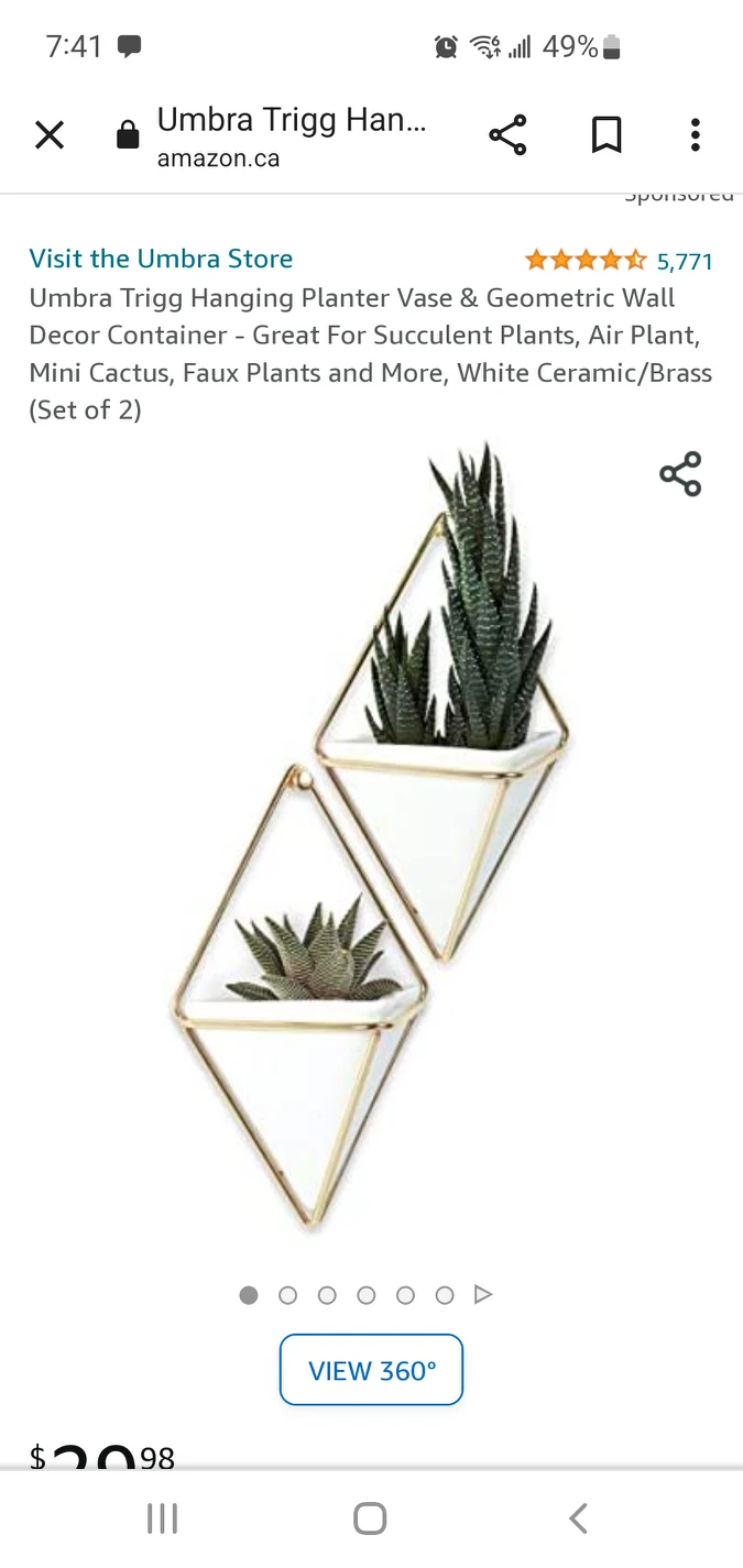 Wall Plant Holder w/ Fake Plants