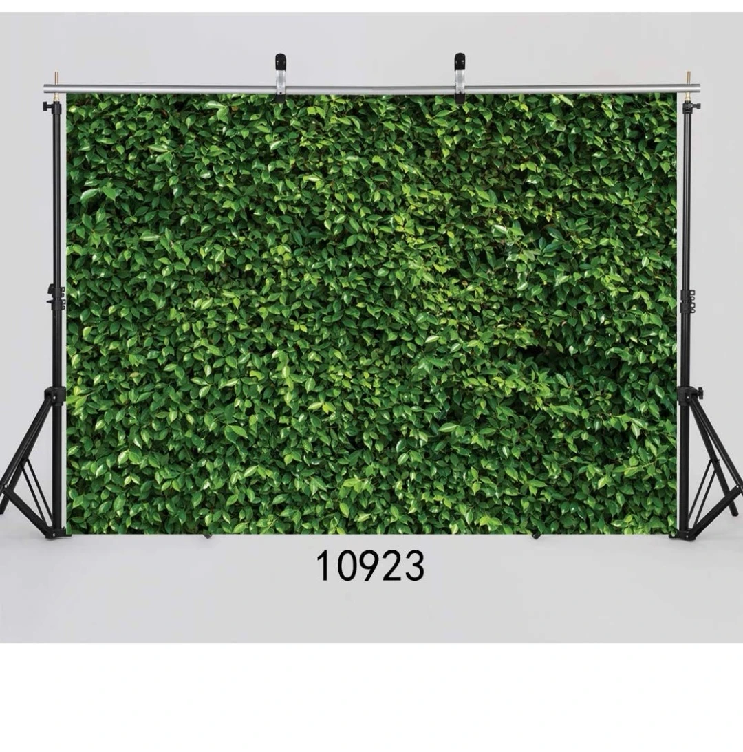 green backdrop - photo 3