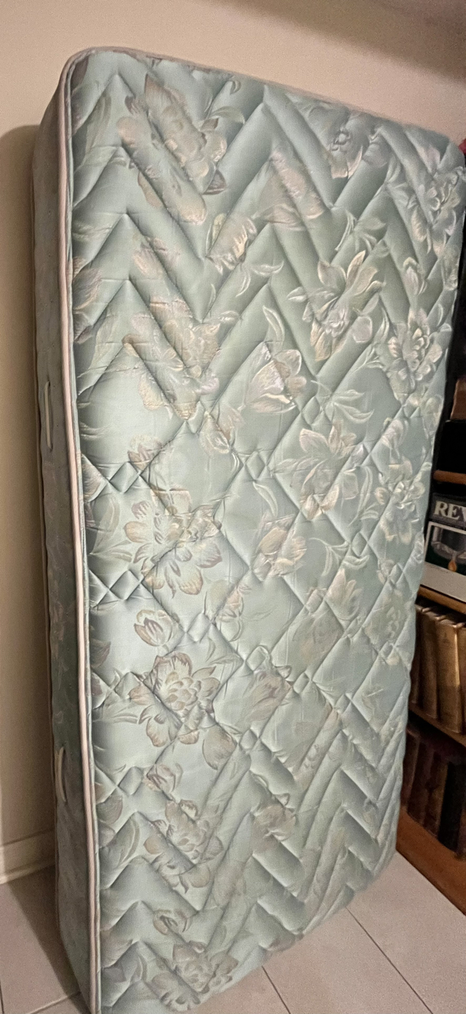 Twin mattress-priced to sell - photo 2
