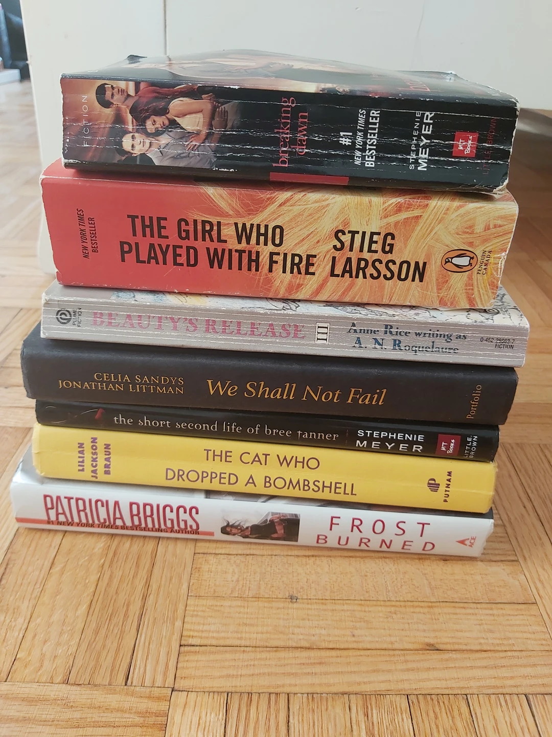 Fiction Book Bundle for ONLY $2!!! thumbnail