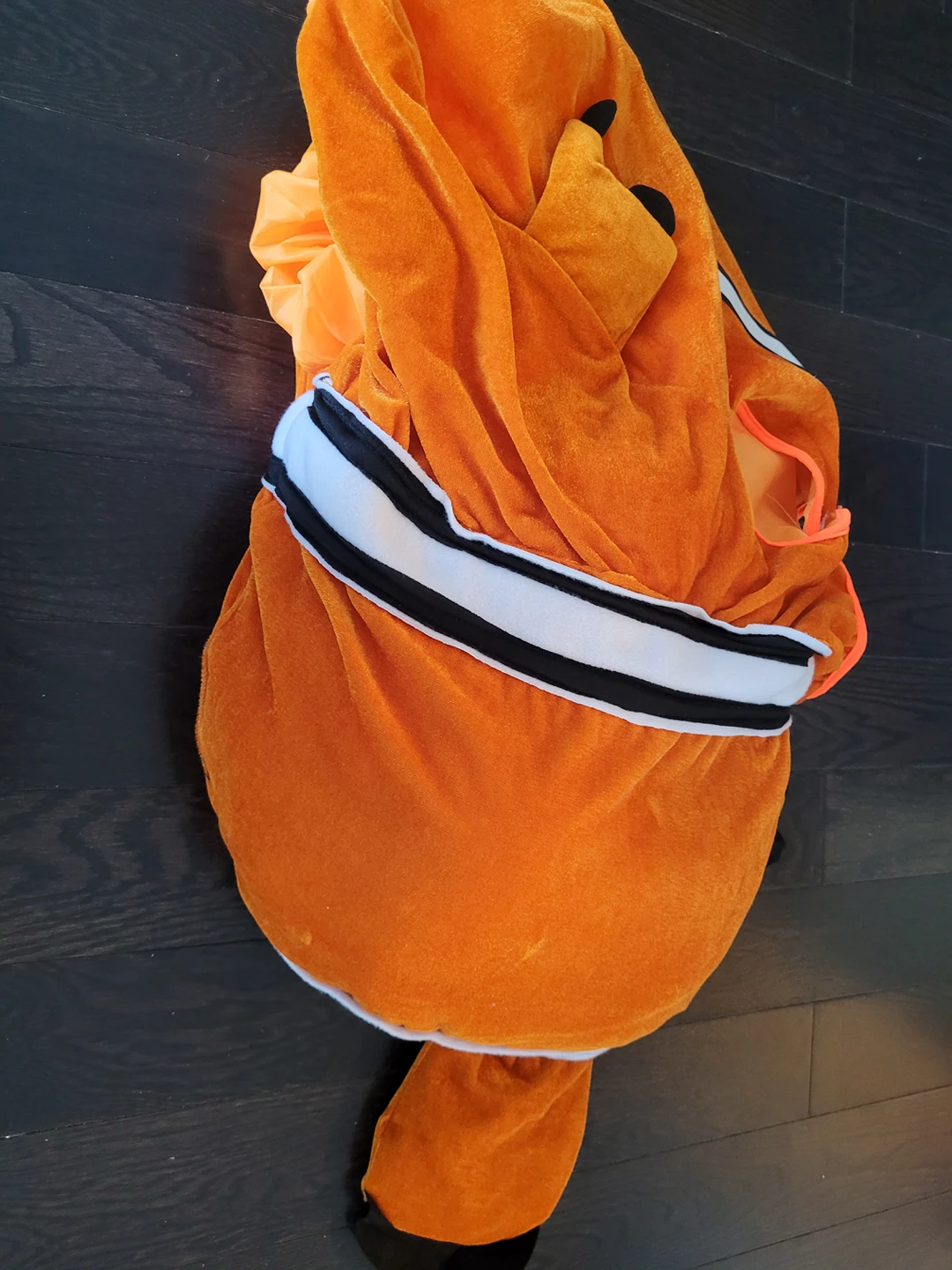 Halloween costume Finding Nemo - photo 3