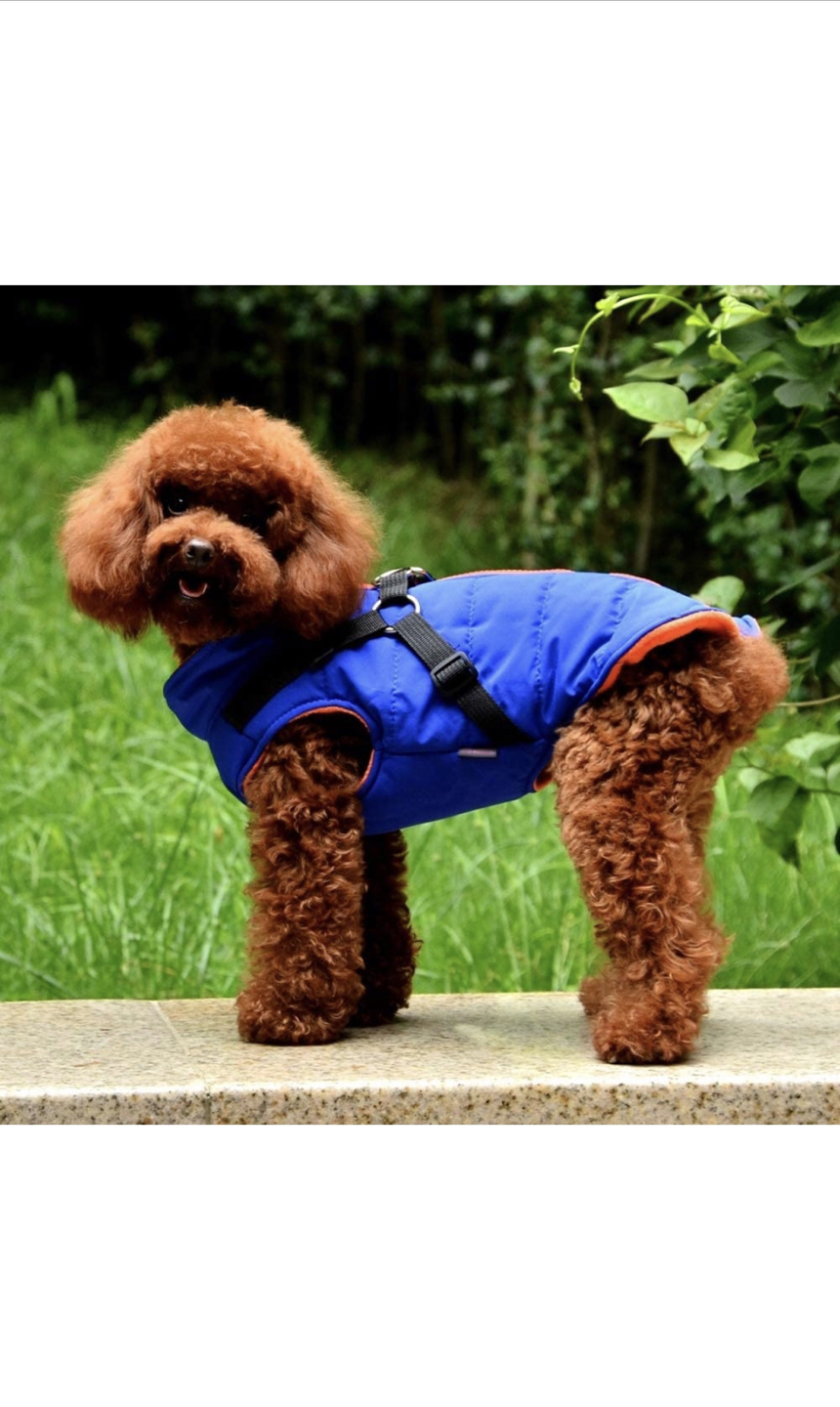 Small Dog Outdoor Jacket with Harness | 2 in 1