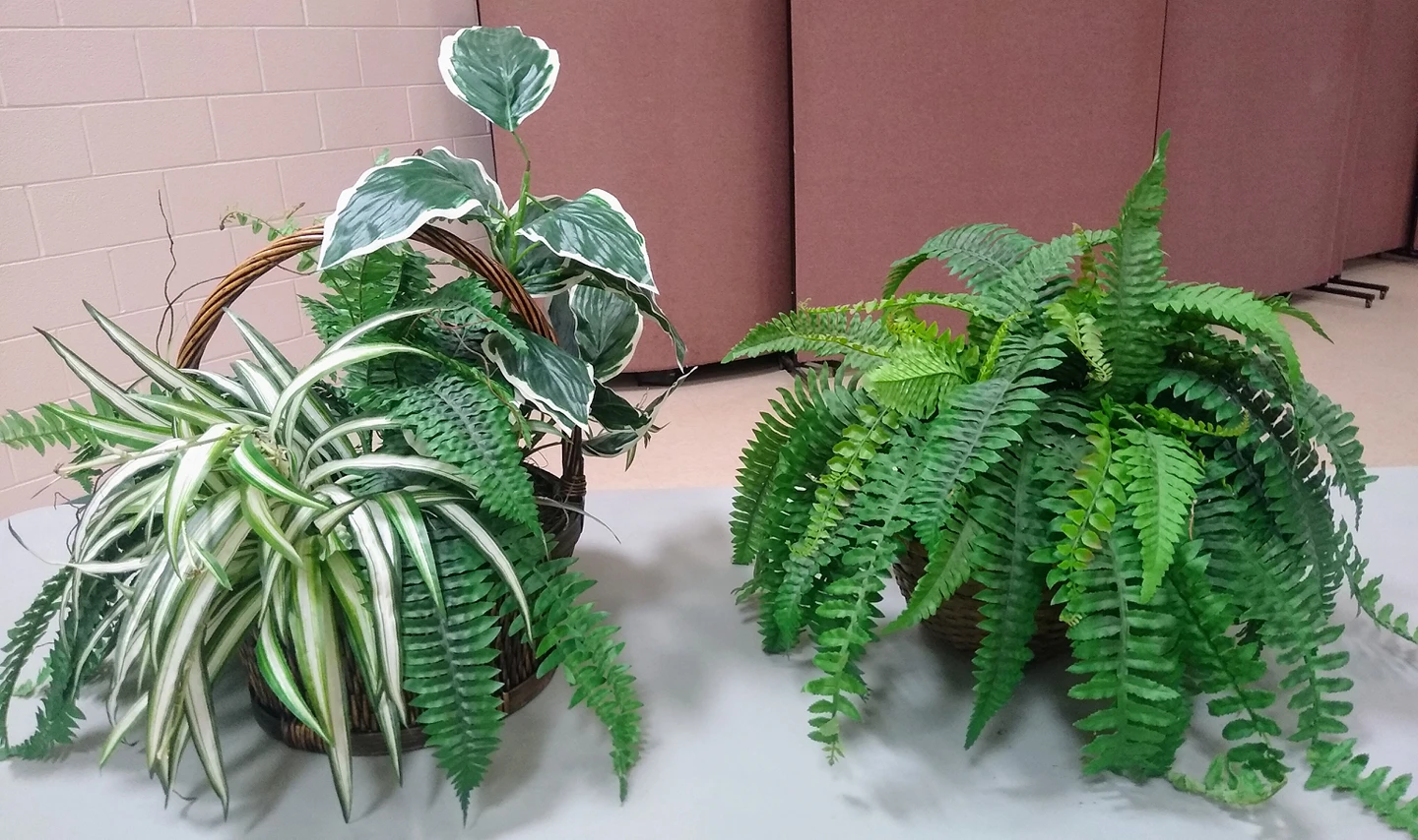 Faux House Plants in Wicker Baskets and Vases thumbnail