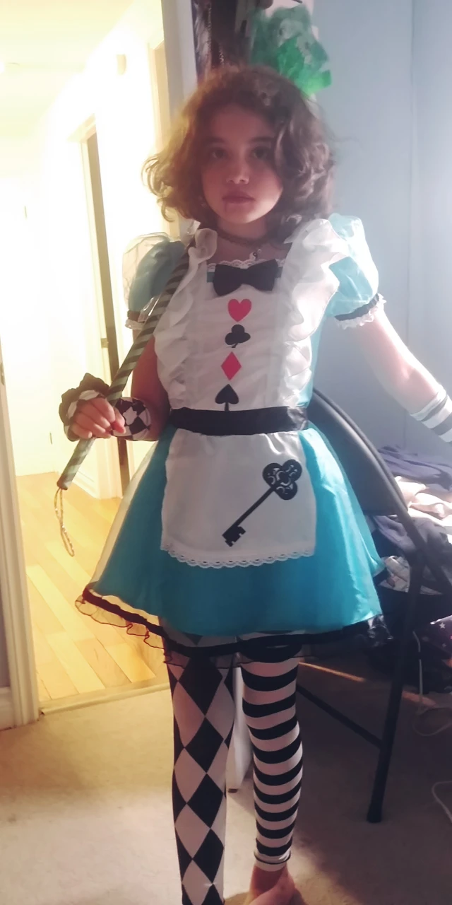 Halloween costume - Alice in Wonderland Costume size medium 8-10 - photo 2