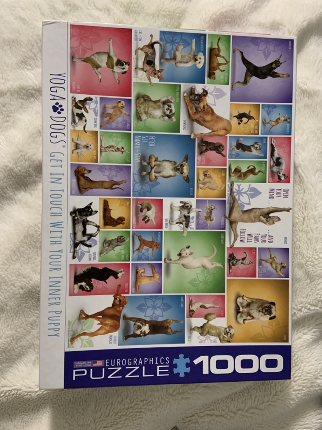 1000 pc dog puzzle thumbnail