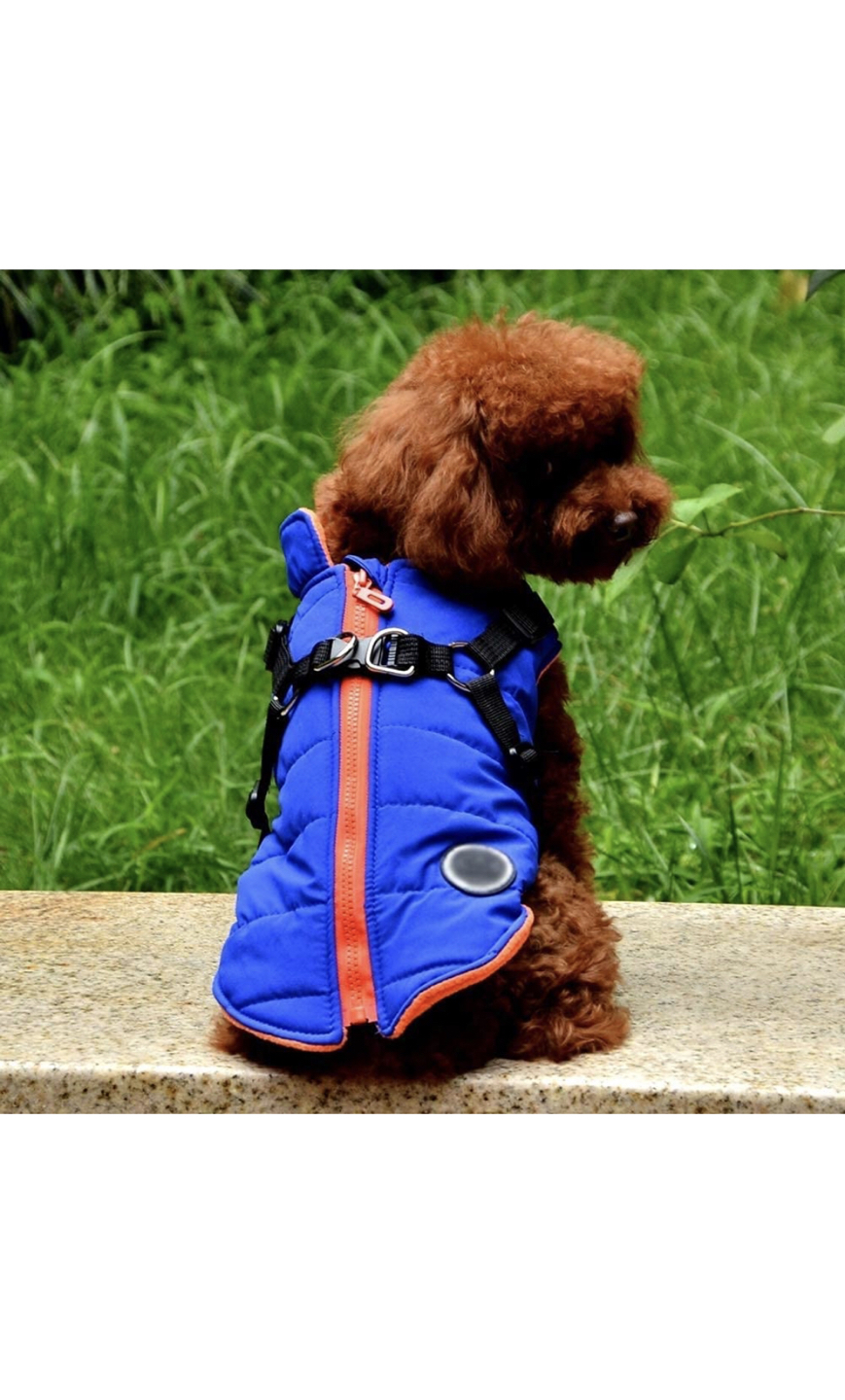 Small Dog Outdoor Jacket with Harness | 2 in 1 - photo 2