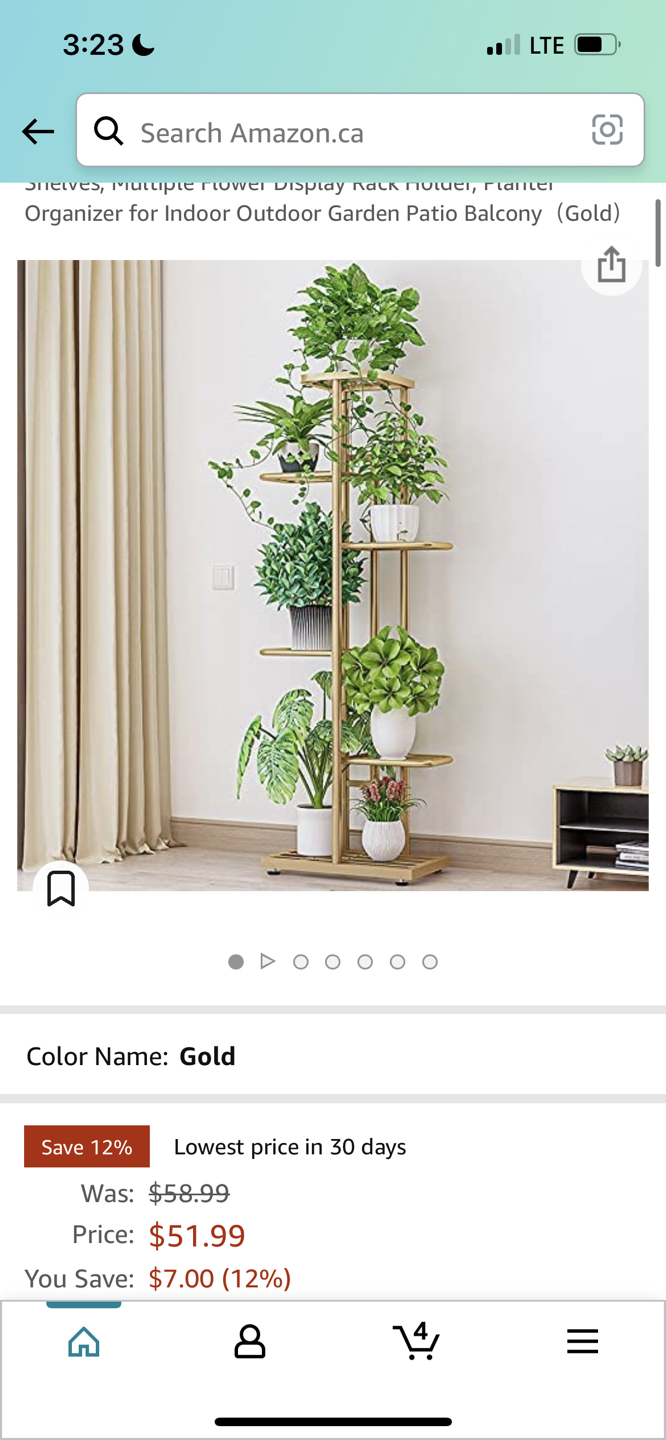 Gold plant holder (brand new)