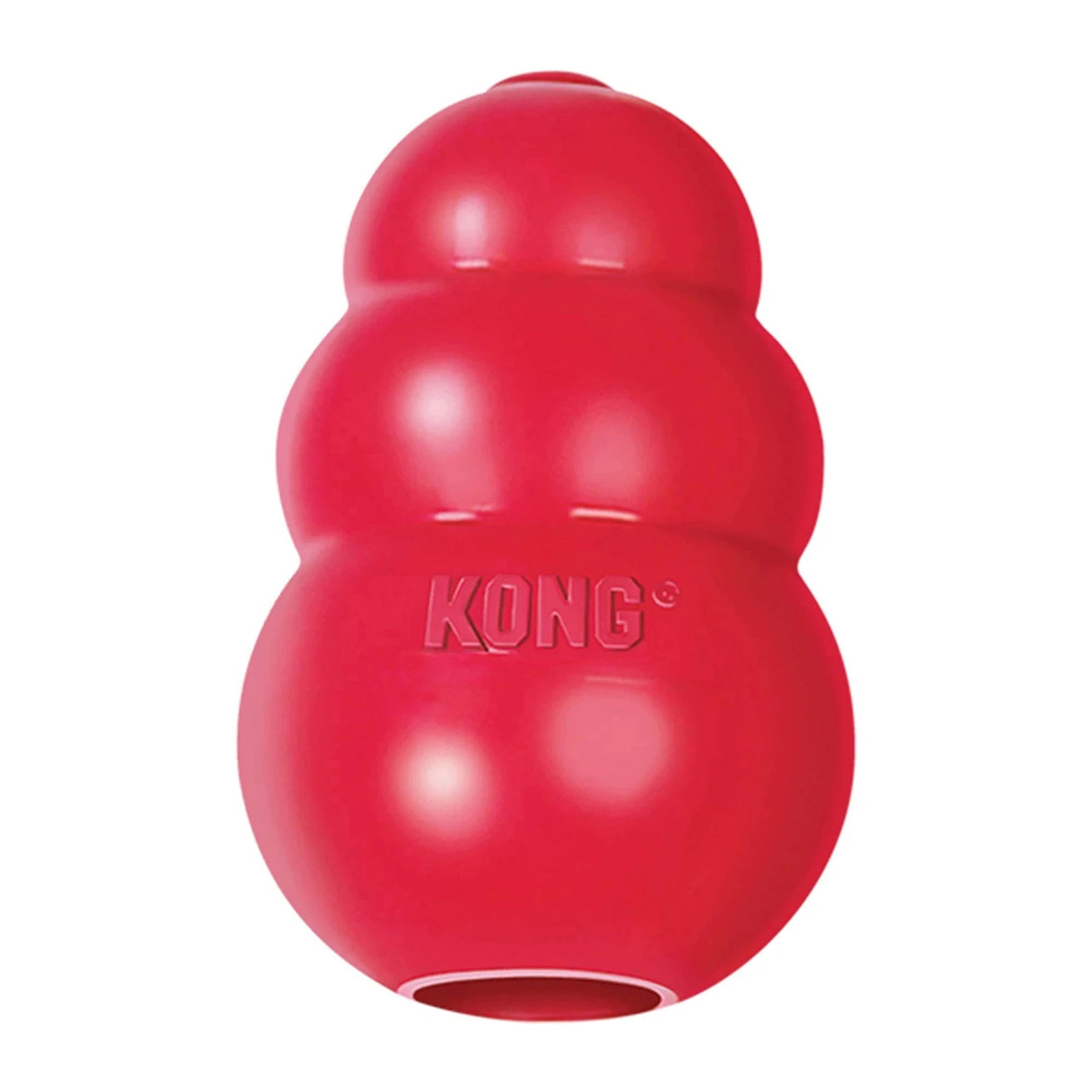 Elevated Bowls Diner Set + FREE KONG - photo 2