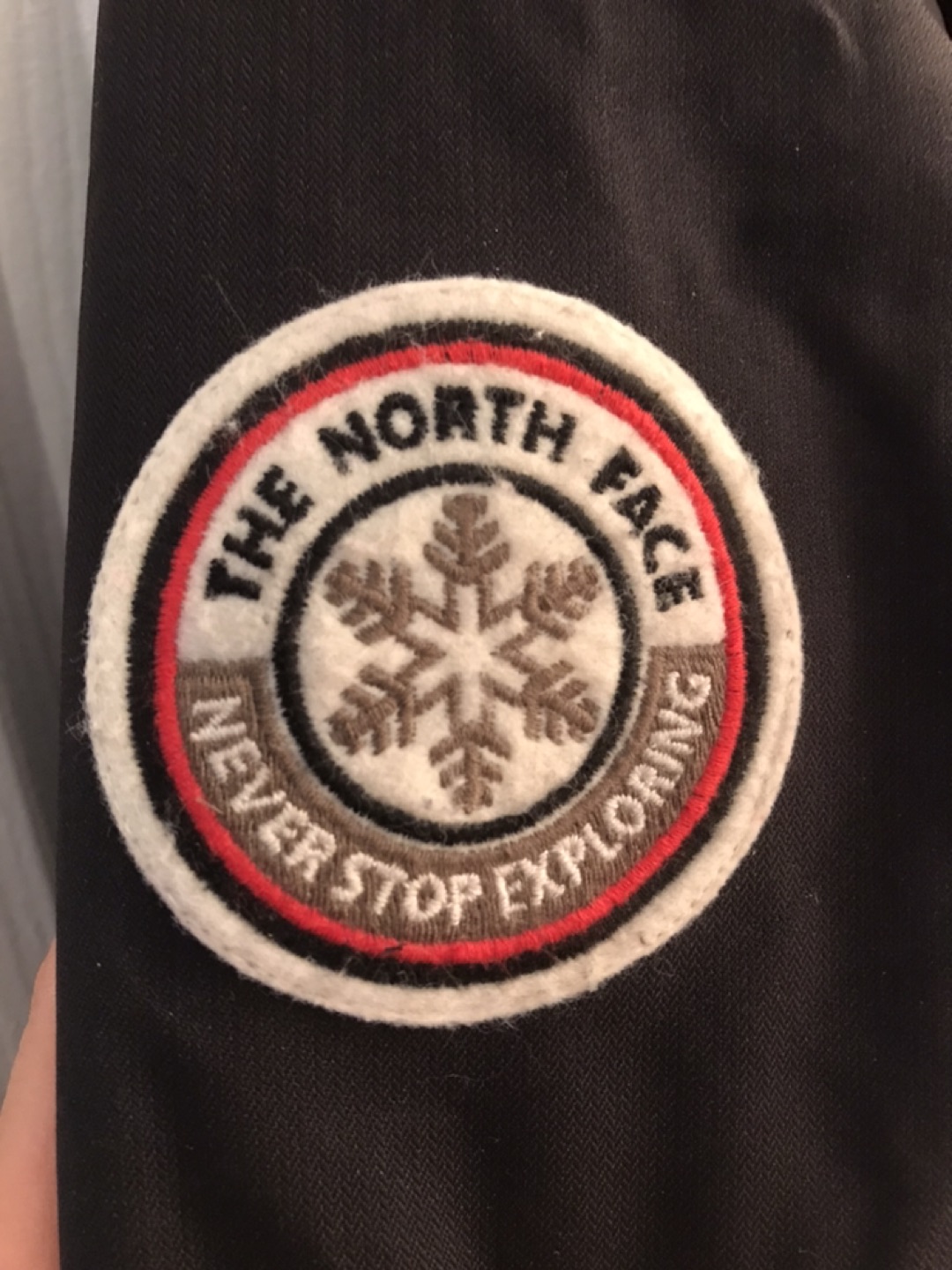 The North Face Goose Down Feather Bomber Jacket - Women’s Small image indicator(7)