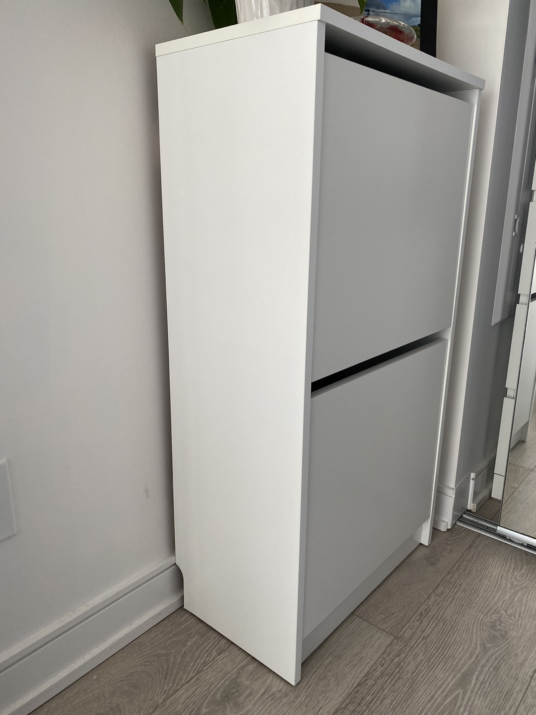 Shoe cabinet