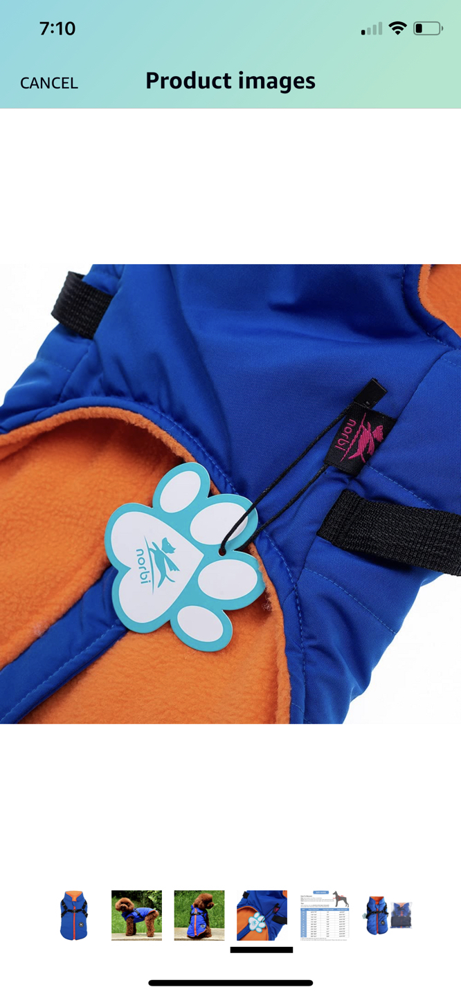 Small Dog Outdoor Jacket with Harness | 2 in 1 - photo 4