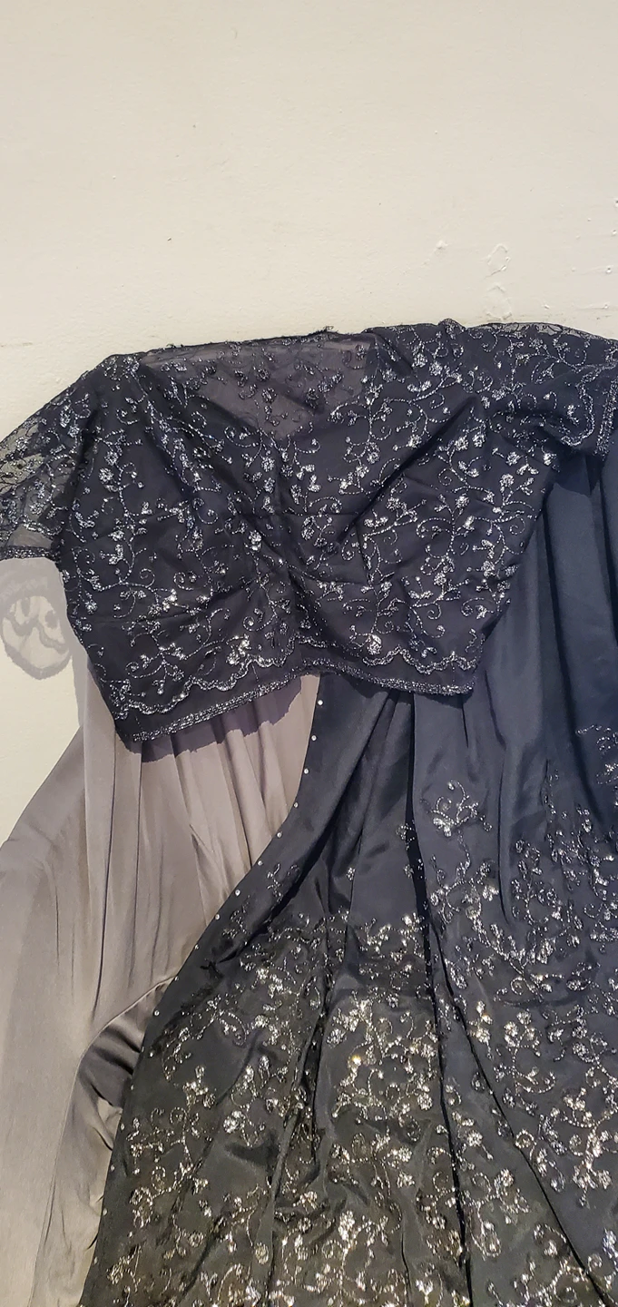 Women's South Asian saree and blouse image indicator(3)