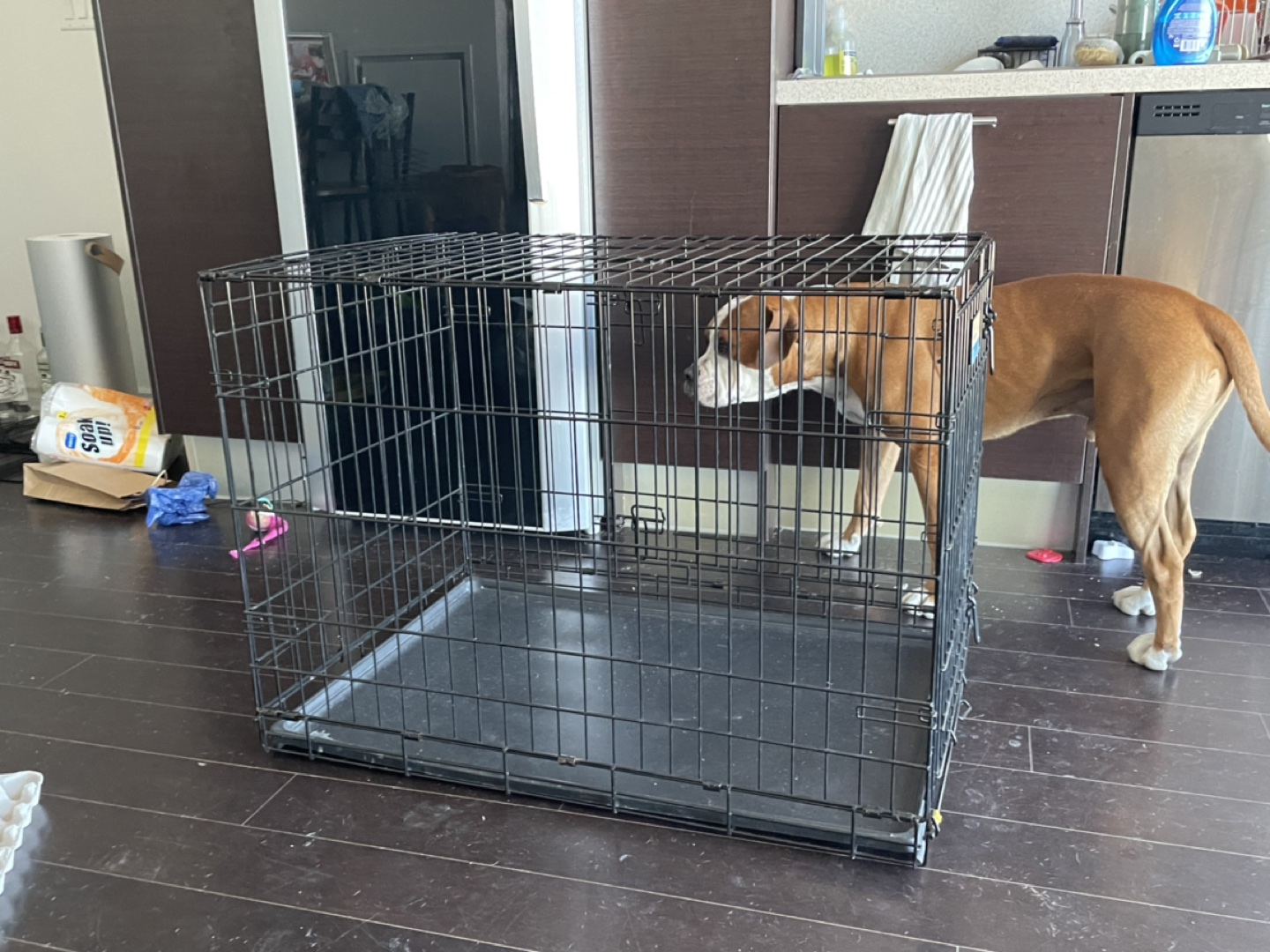 Large dog crate with double door and leak-proof pad thumbnail