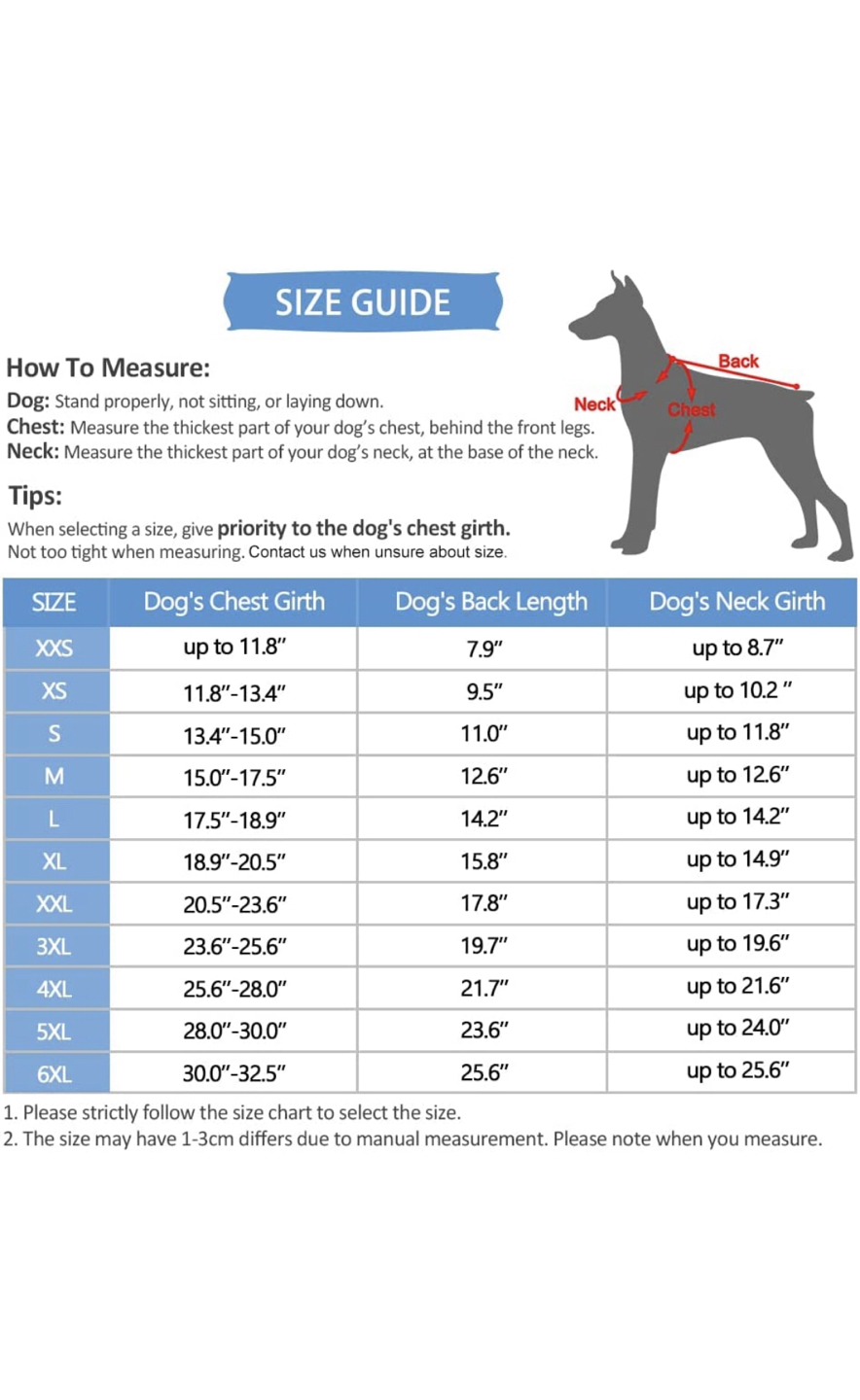 Small Dog Outdoor Jacket with Harness | 2 in 1 - photo 5