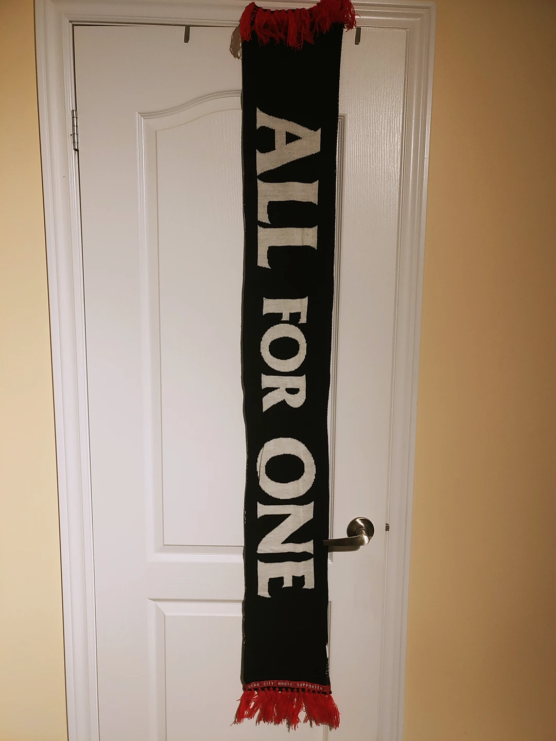 Toronto FC soccer TFC 2021 membership scarfs - photo 4