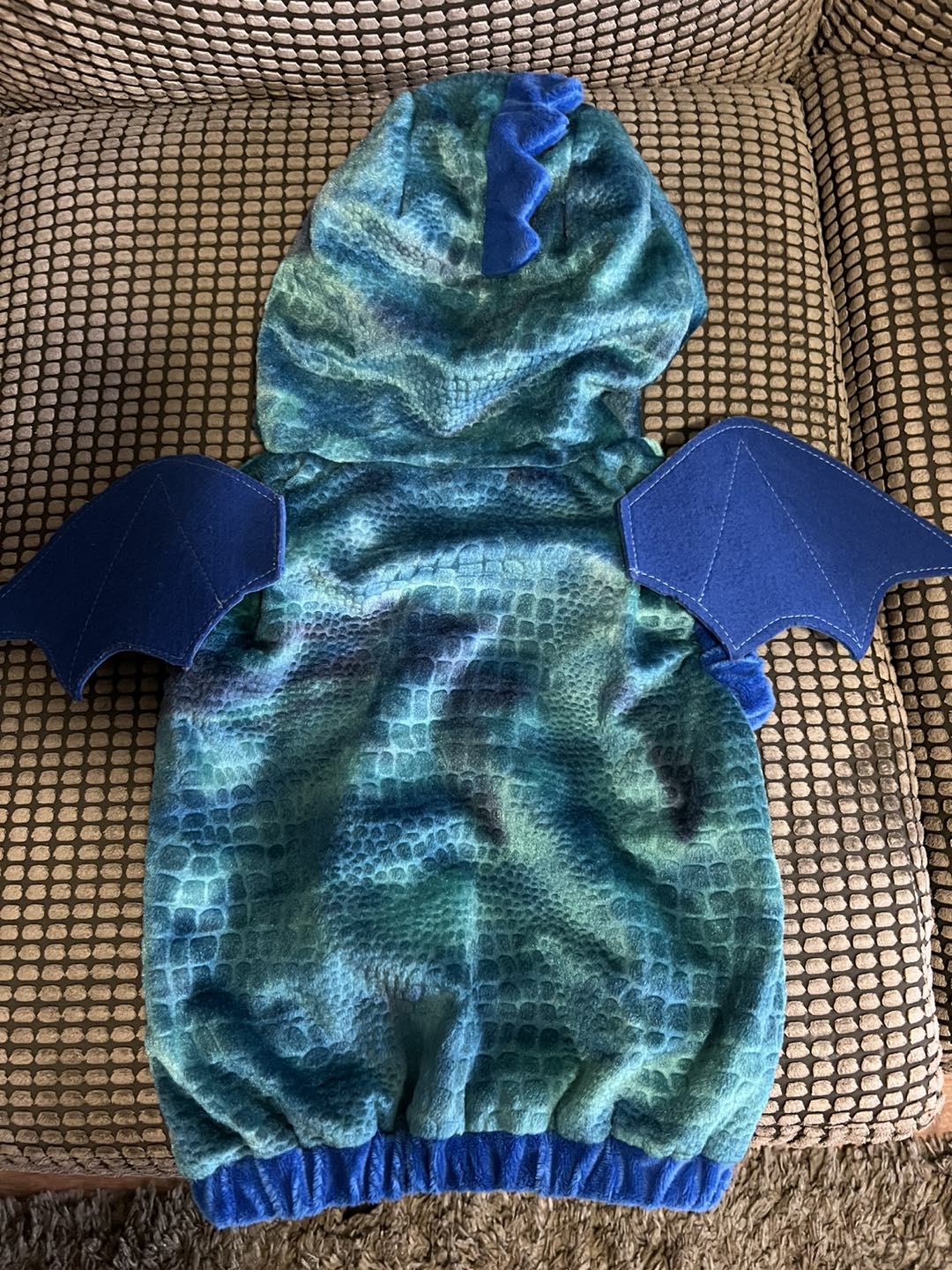 Toddler dragon costume #freecycle