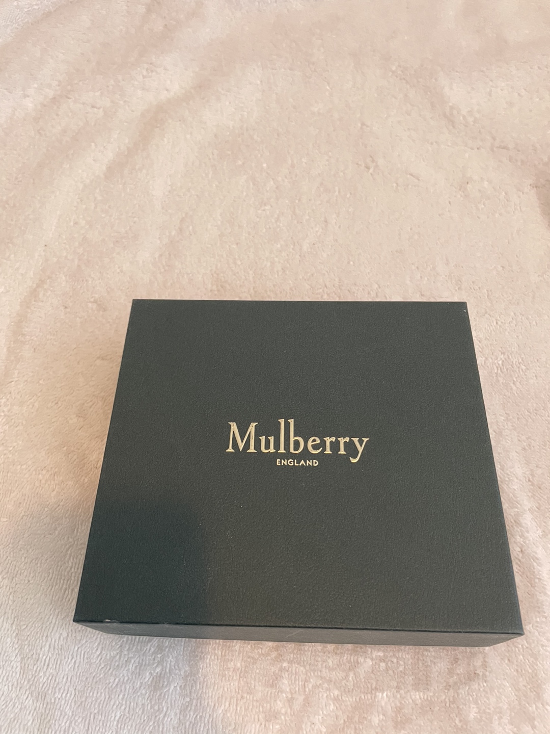 Mulberry womens bifold wallet