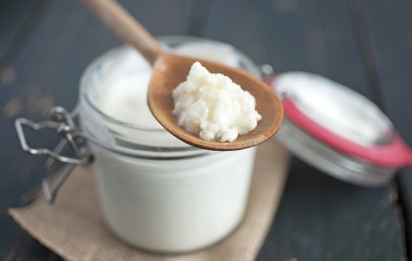 Organic milk kefir grains - photo 3