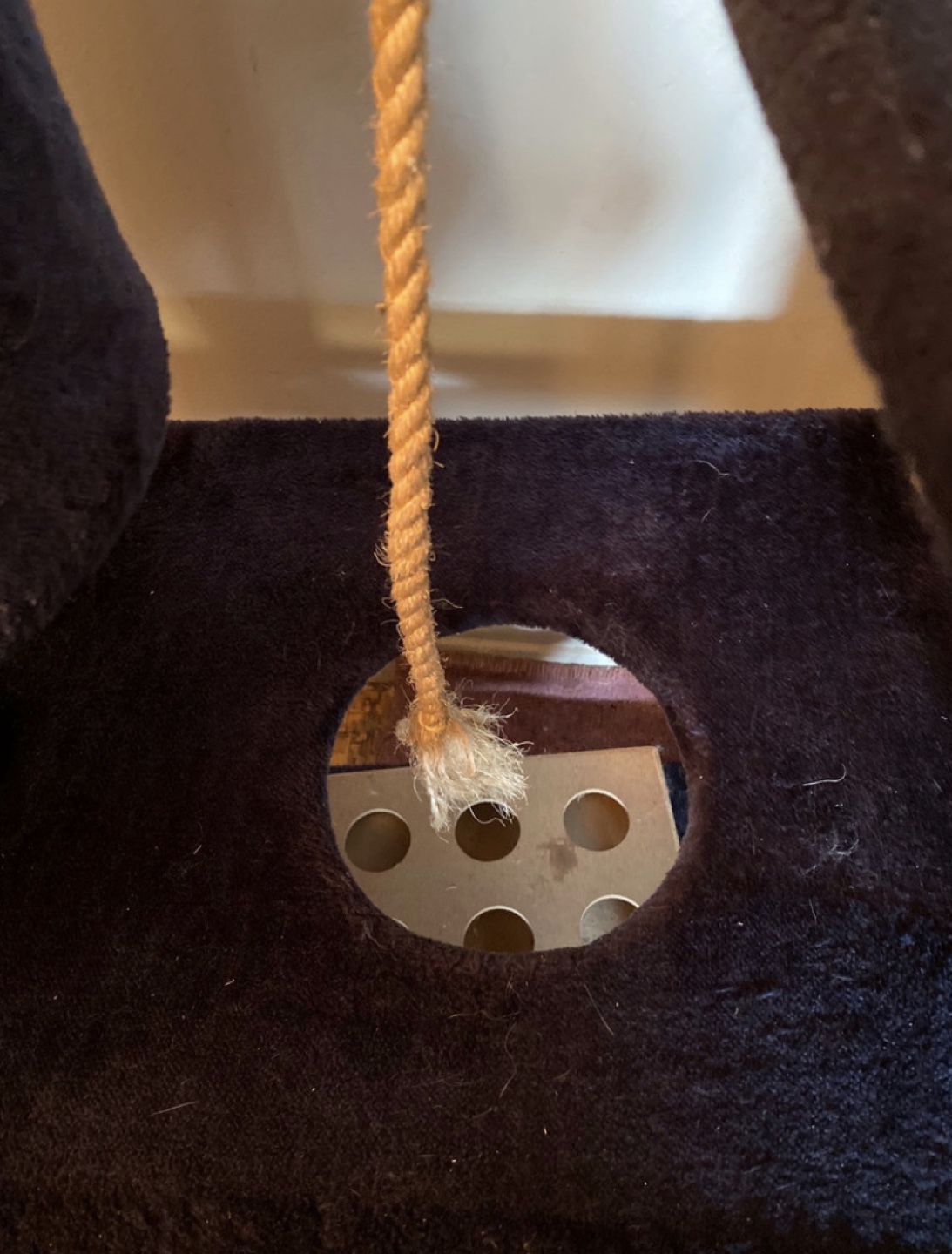 A Big Cat Tree image indicator(5)