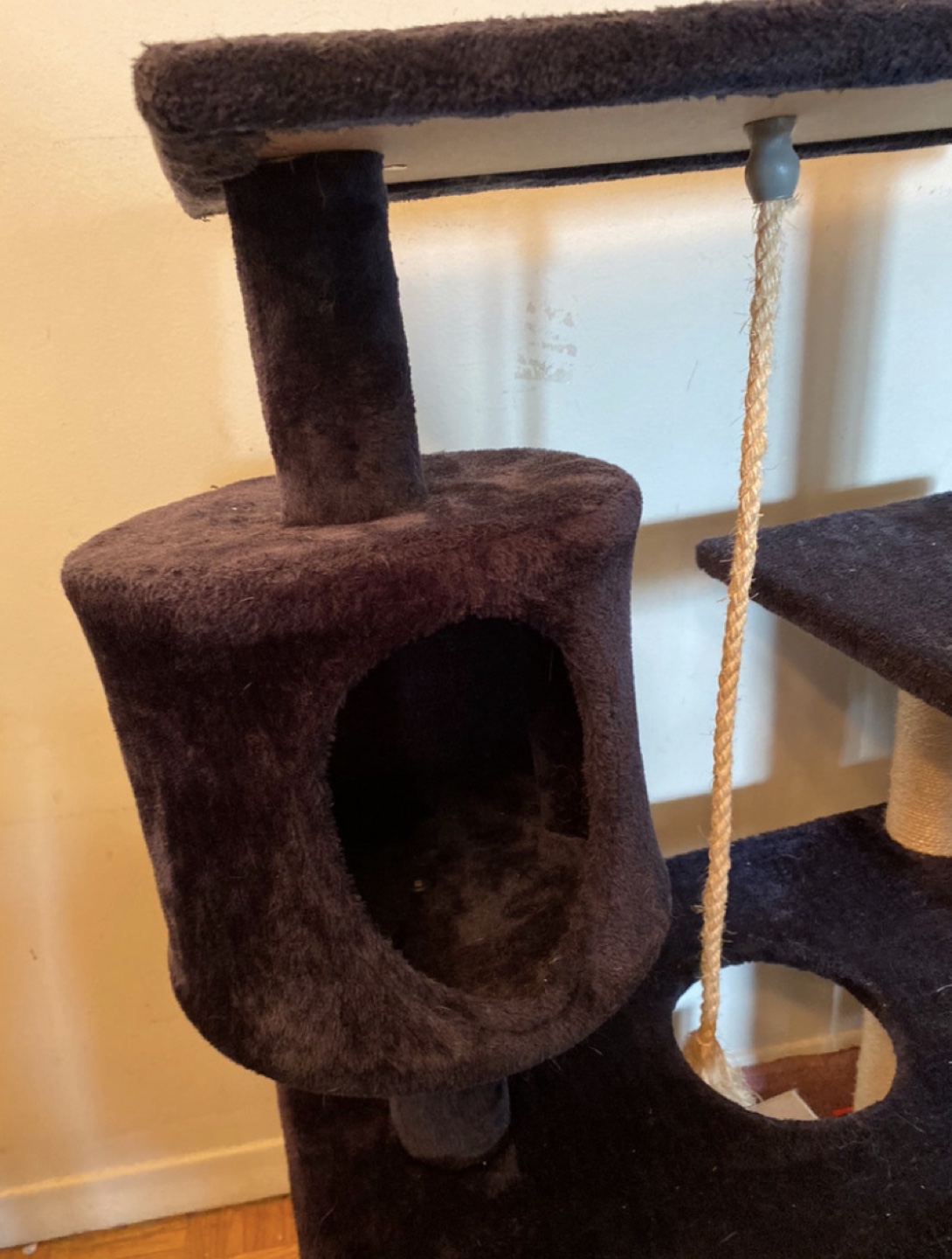 A Big Cat Tree image indicator(2)