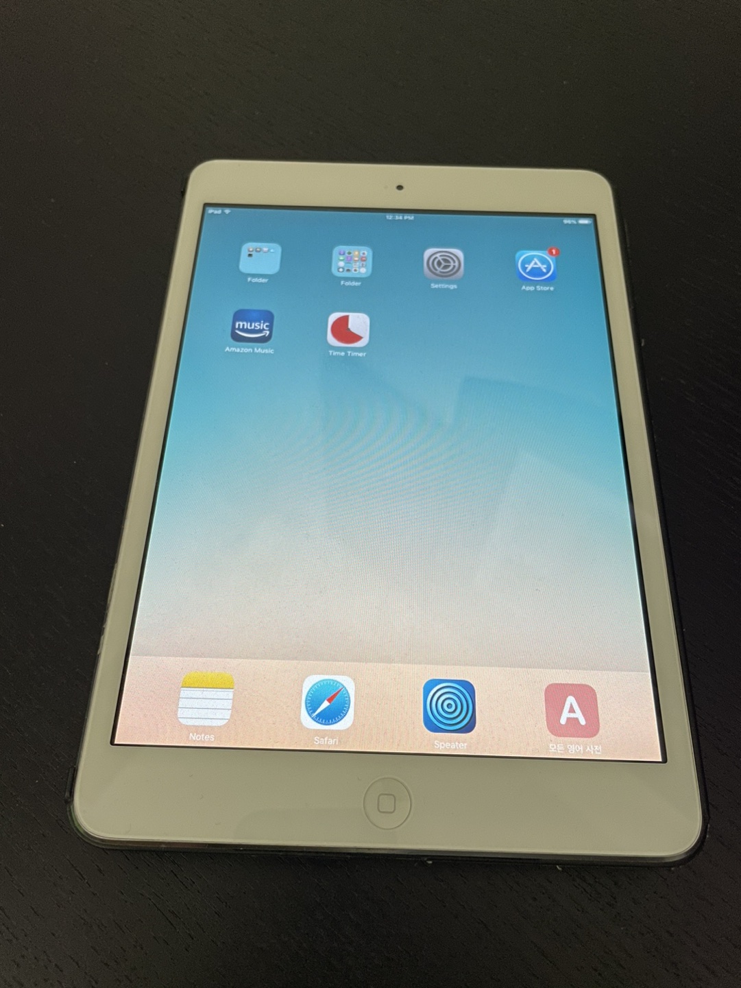 iPad mini 1