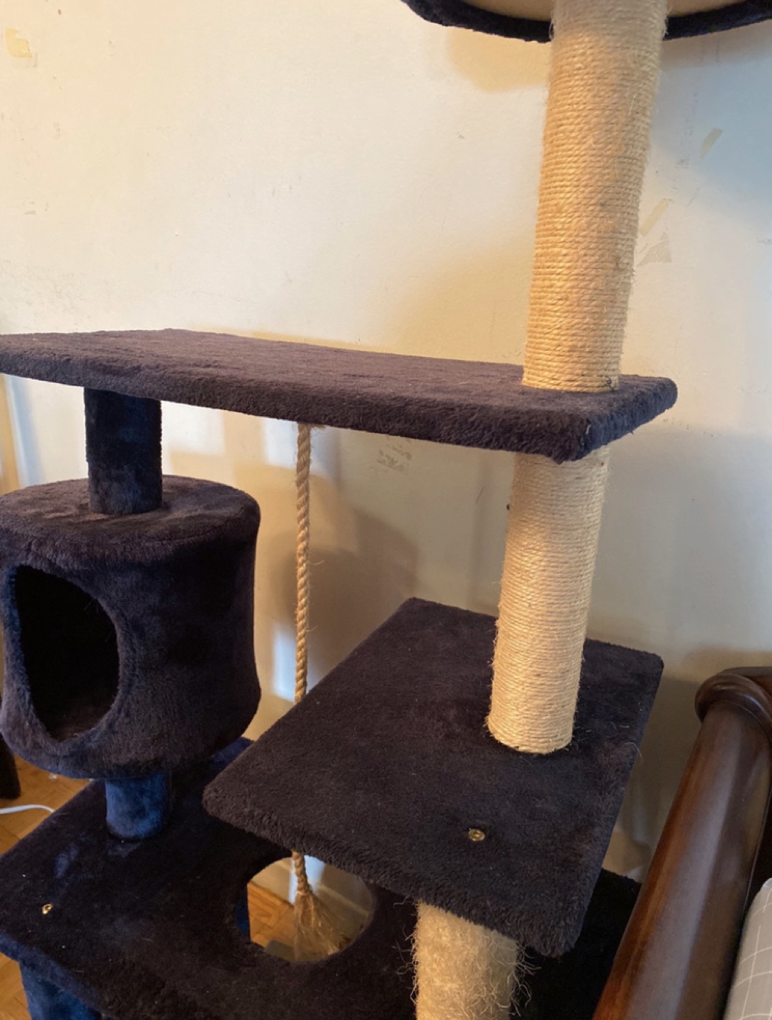 A Big Cat Tree image indicator(3)