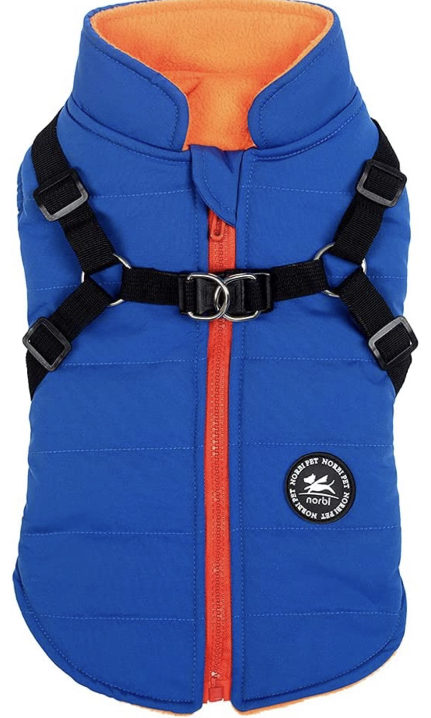 Small Dog Outdoor Jacket with Harness | 2 in 1 - photo 3