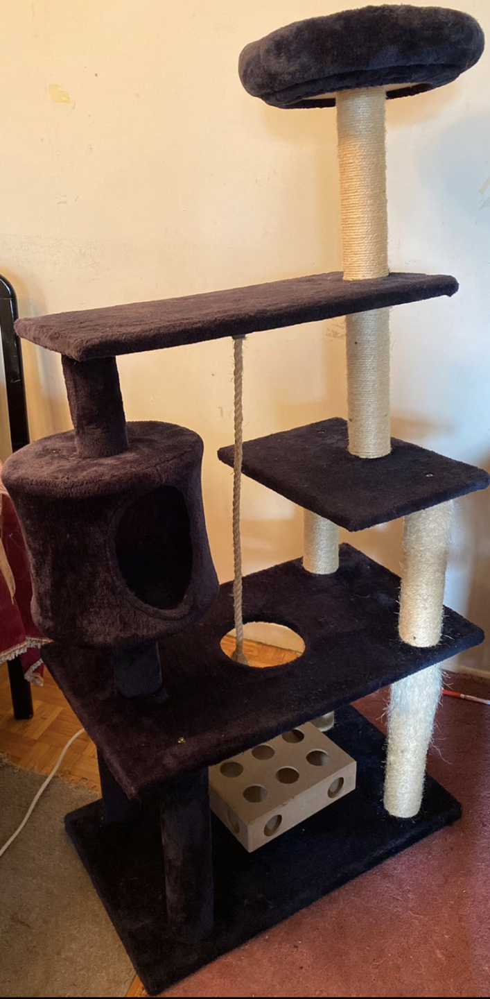 A Big Cat Tree image indicator(6)