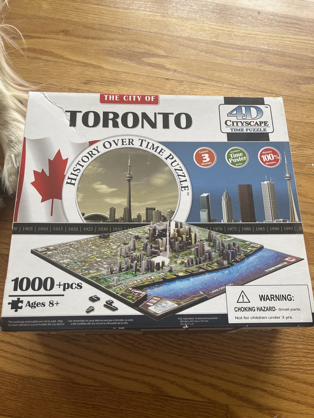 Toronto 1000pc puzzle thumbnail