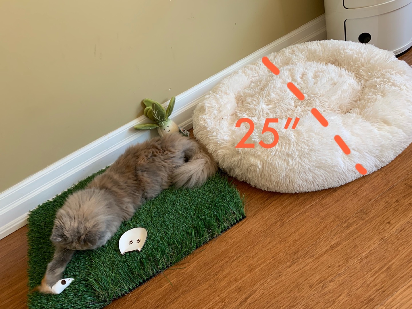 Pet PlushBed + Giveaway - photo 3