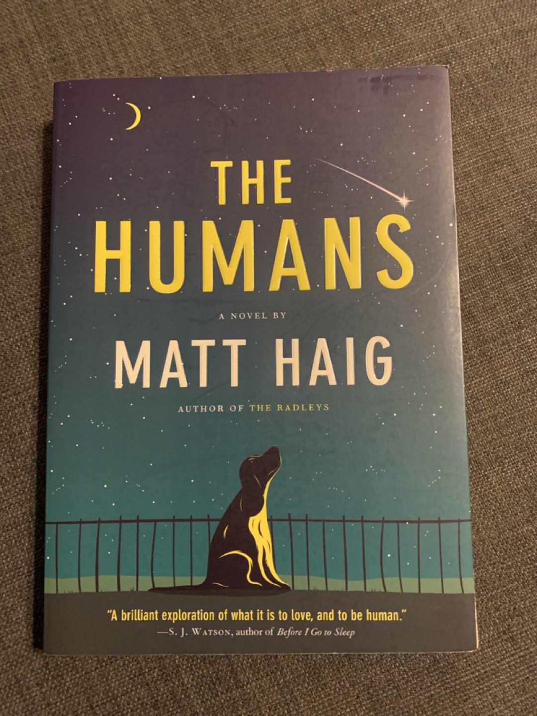 The Humans by Matt Haig thumbnail