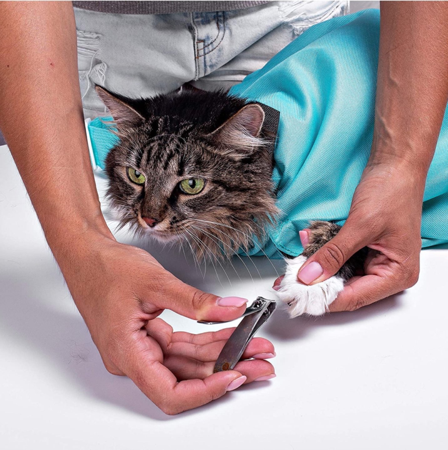 Purrfect Pouch - BNIP image indicator(2)