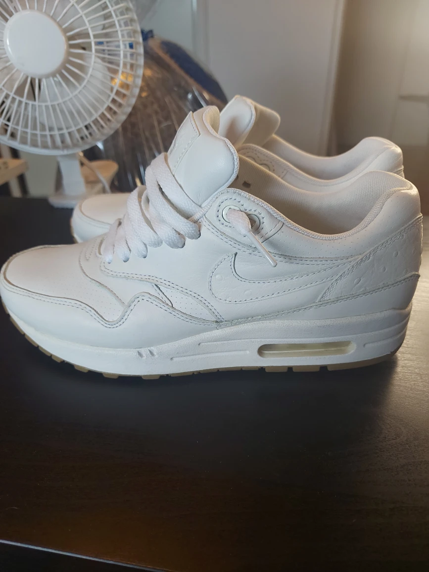 Nike Air Max 1 Leather PA