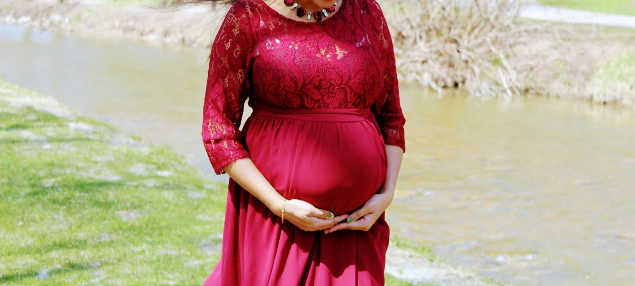 Maternity Maxi Gown image indicator(3)