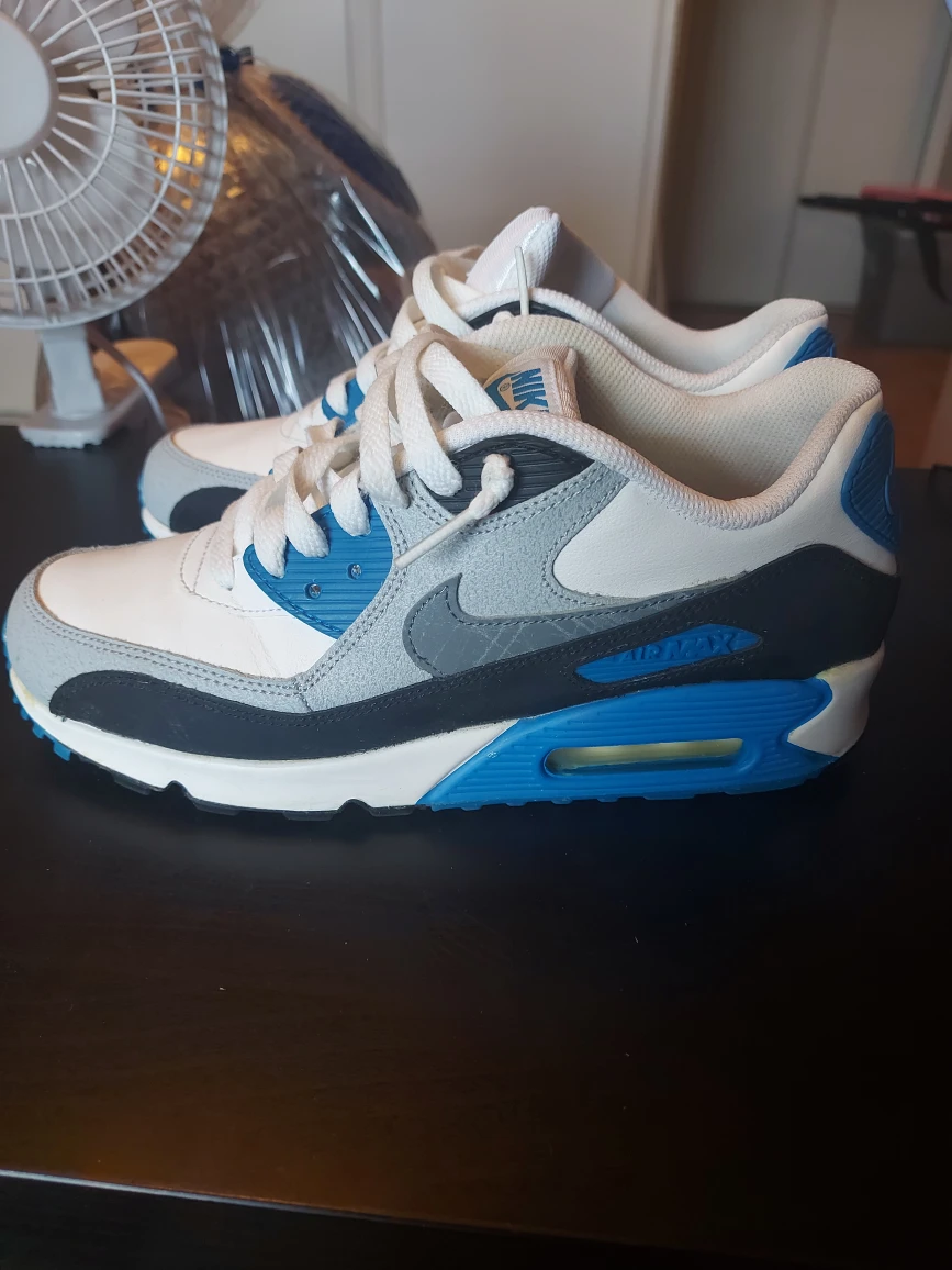 Nike Air Max 90 Essential