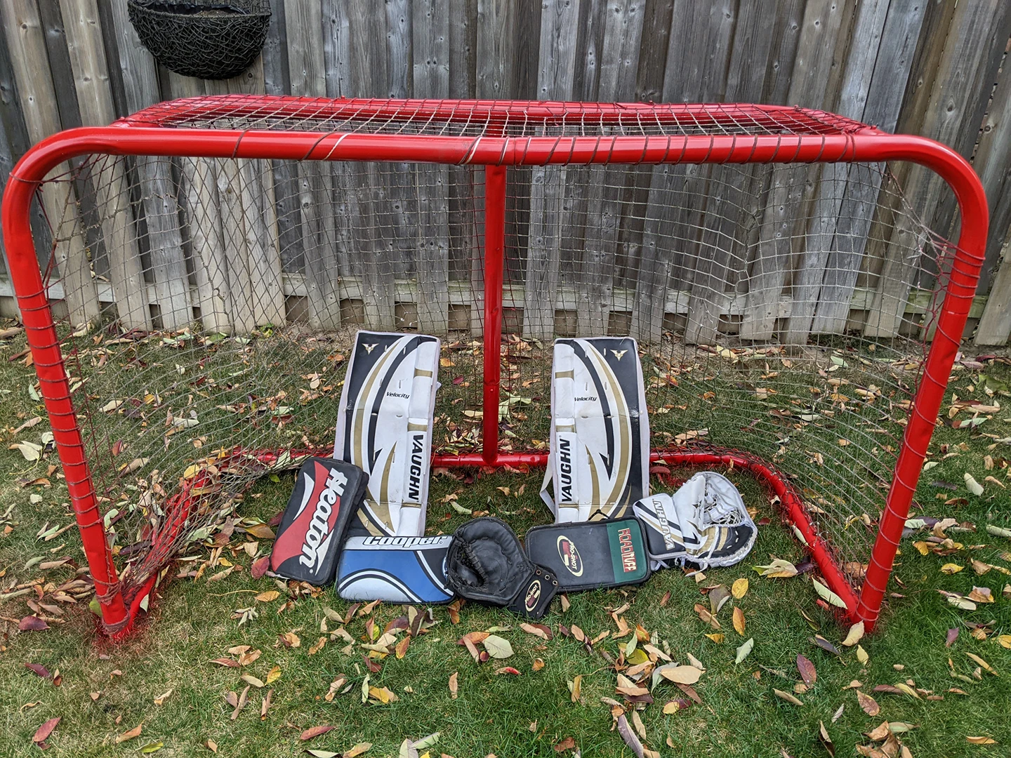 Hockey Net and Goalie Equipment