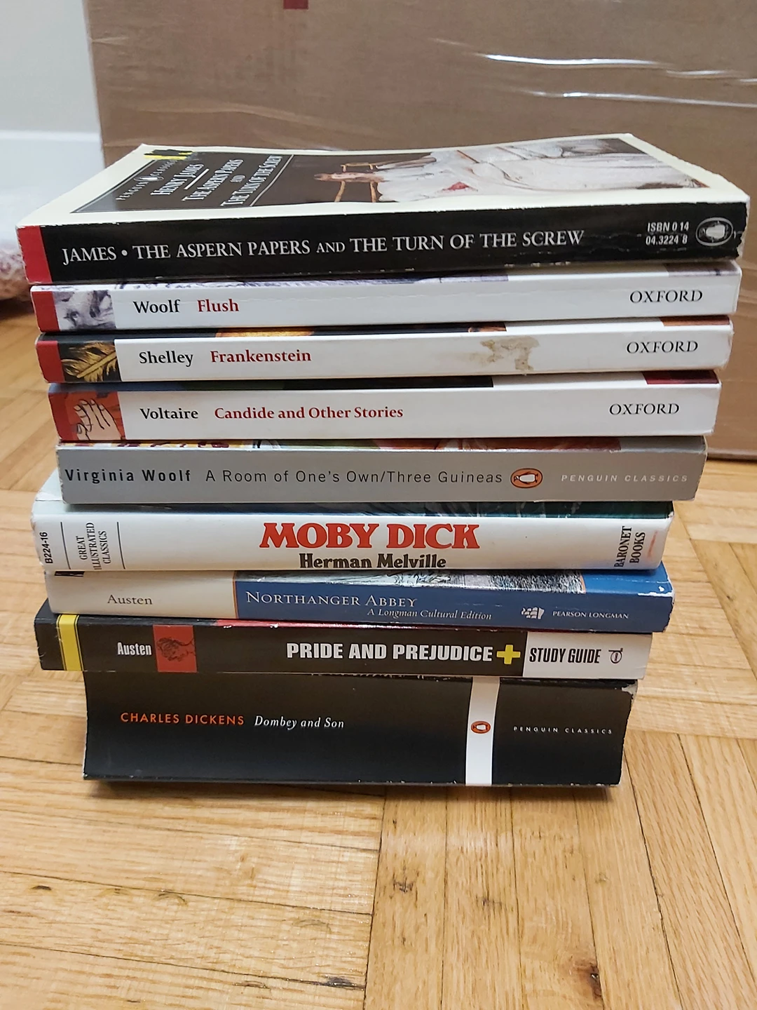 English Literature Book Bundle for ONLY $2!!! thumbnail
