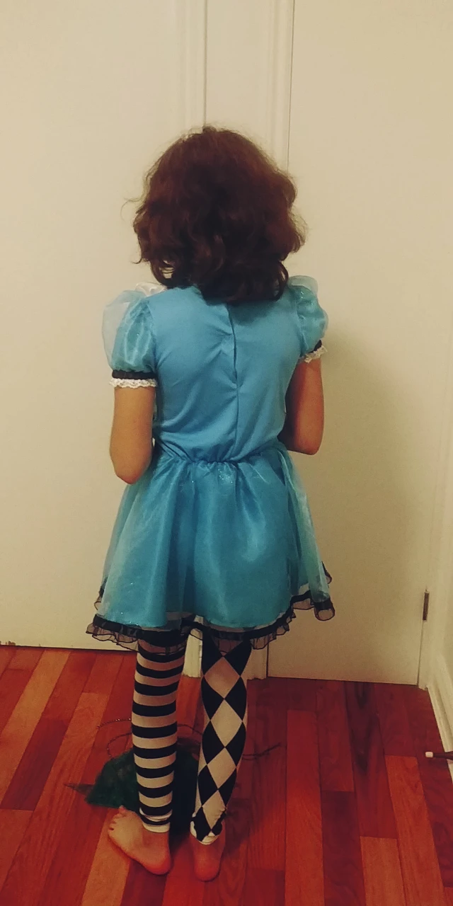 Halloween costume - Alice in Wonderland Costume size medium 8-10