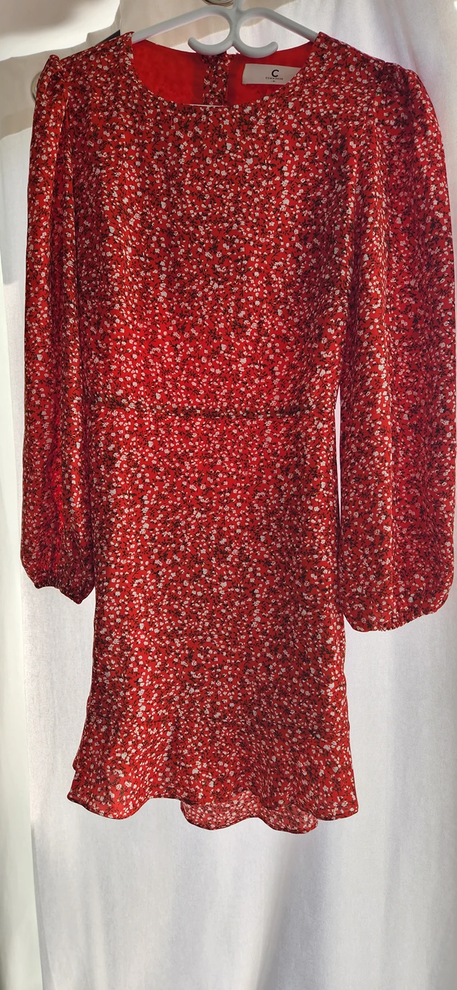 Red Flowered Dress Commense